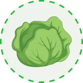 为您呈现精彩赛事 - 世界杯竞猜