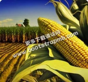 实时比分，一手掌握全球赛事 - 世界杯竞猜
