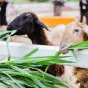 探索足球世界的魅力 - 世界杯竞猜
